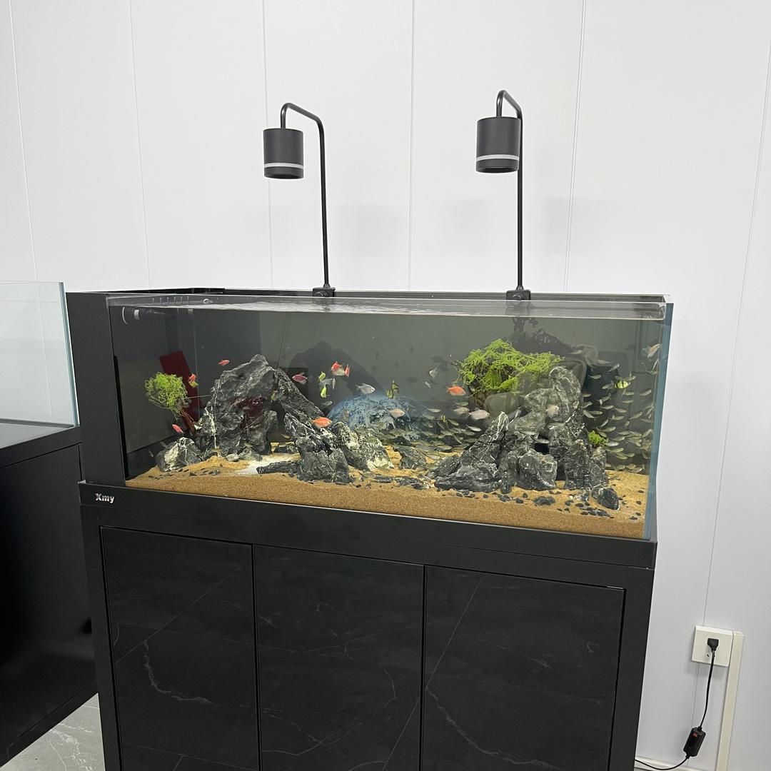 逸云水族工厂店