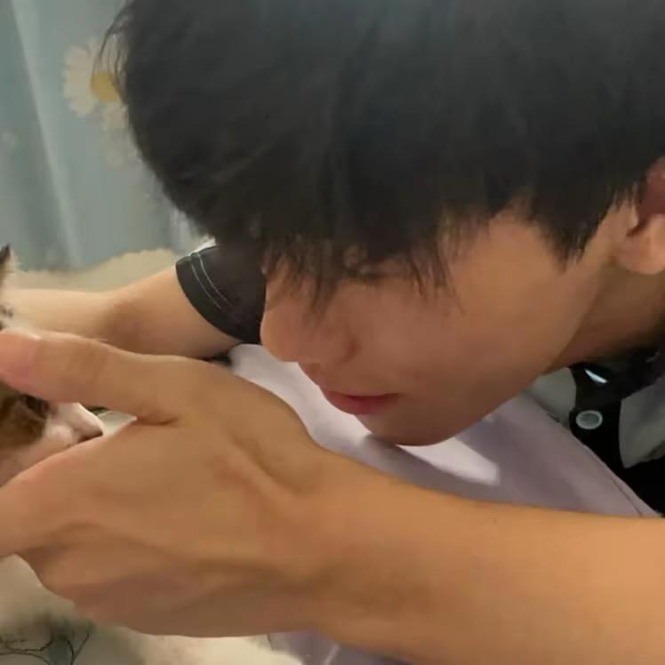 风泪悲