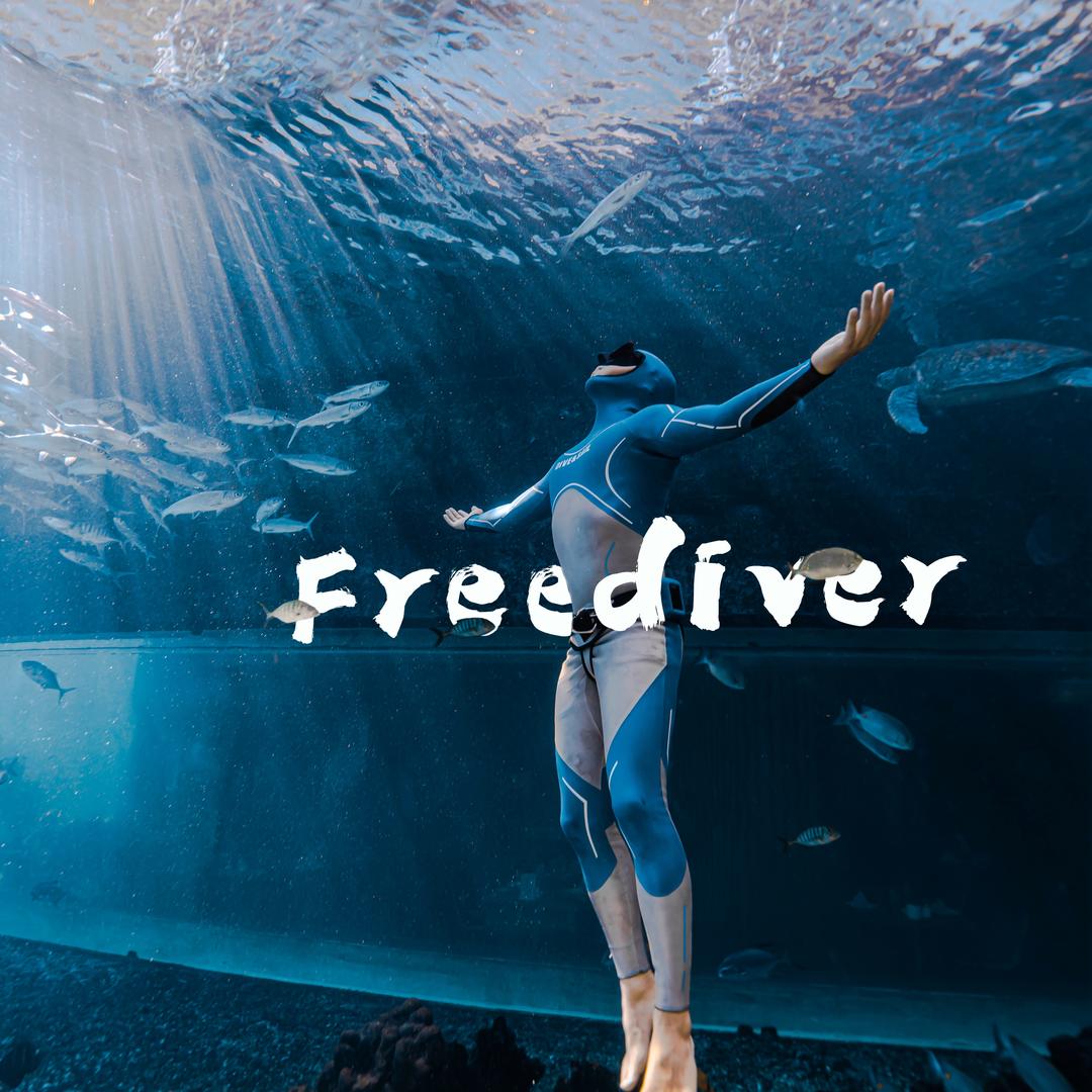 Jayden-水下摄影🤿