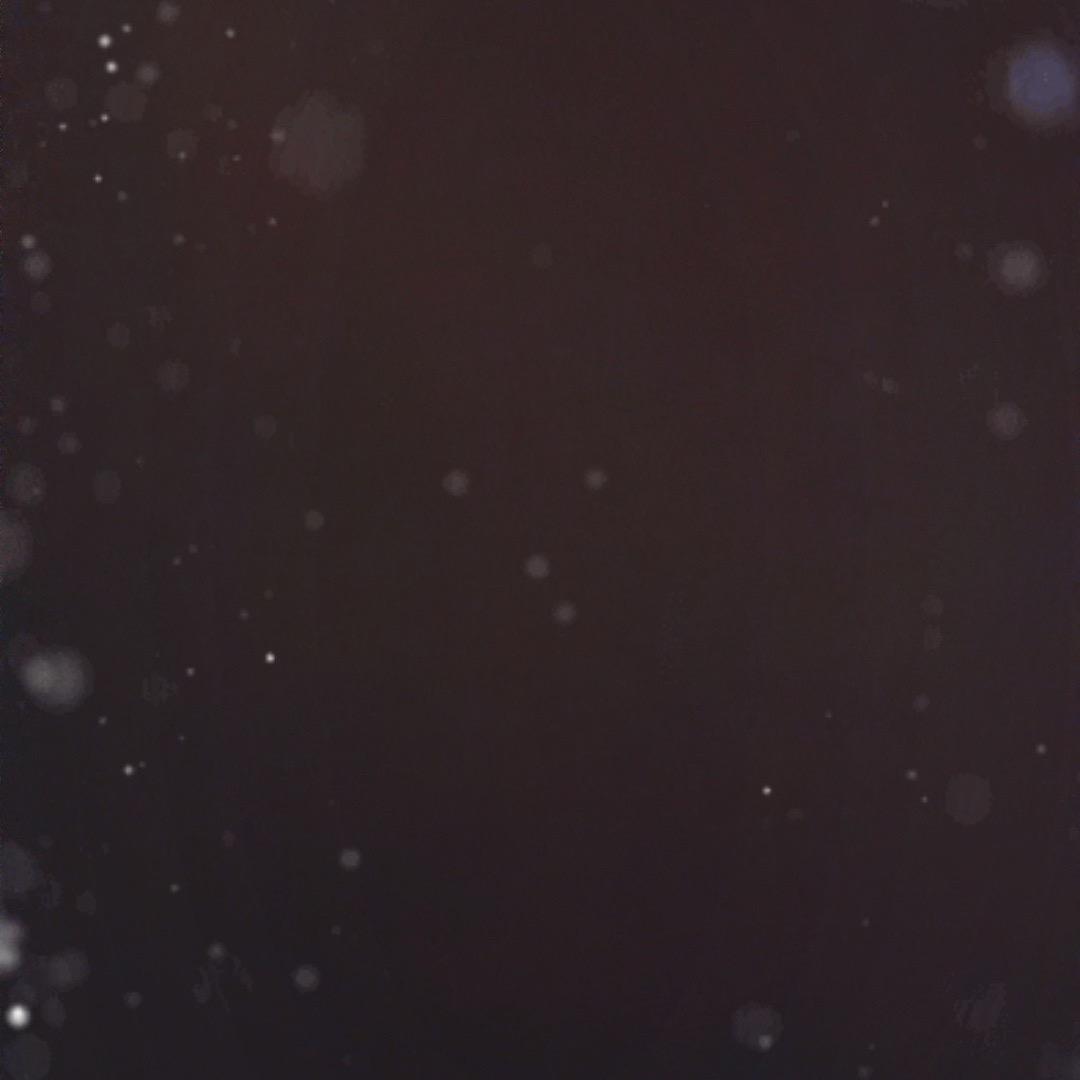 天天乐（三人行）