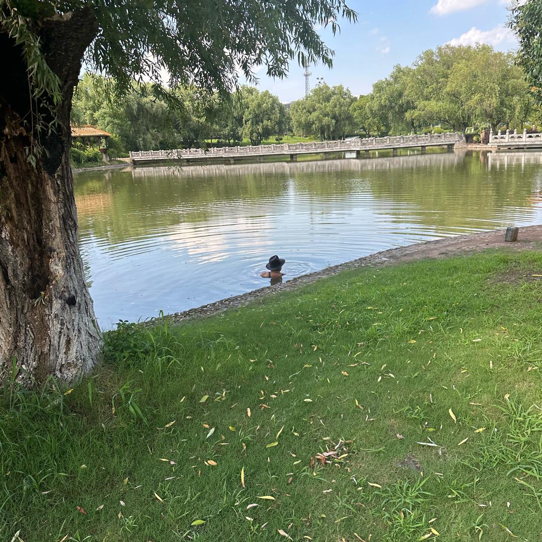 大锤正能量@抖音