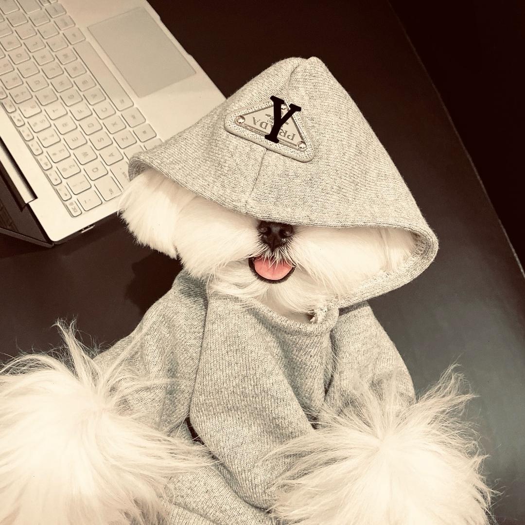 小yy