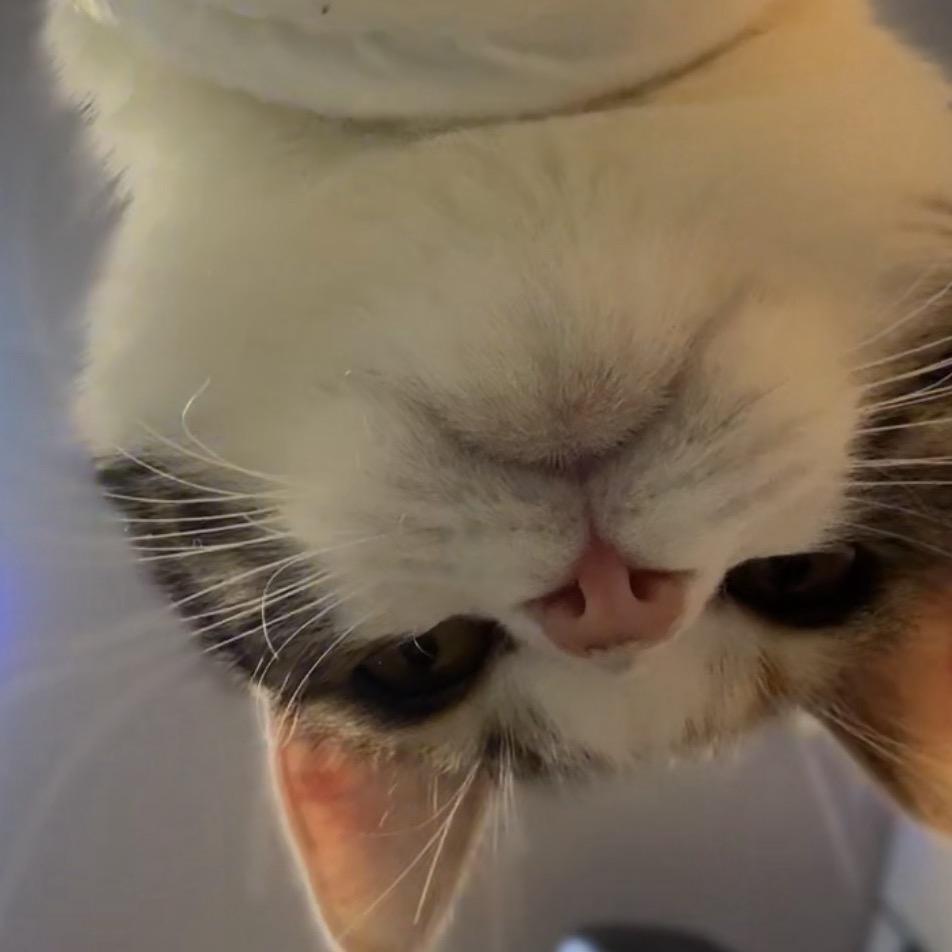 多啦n梦