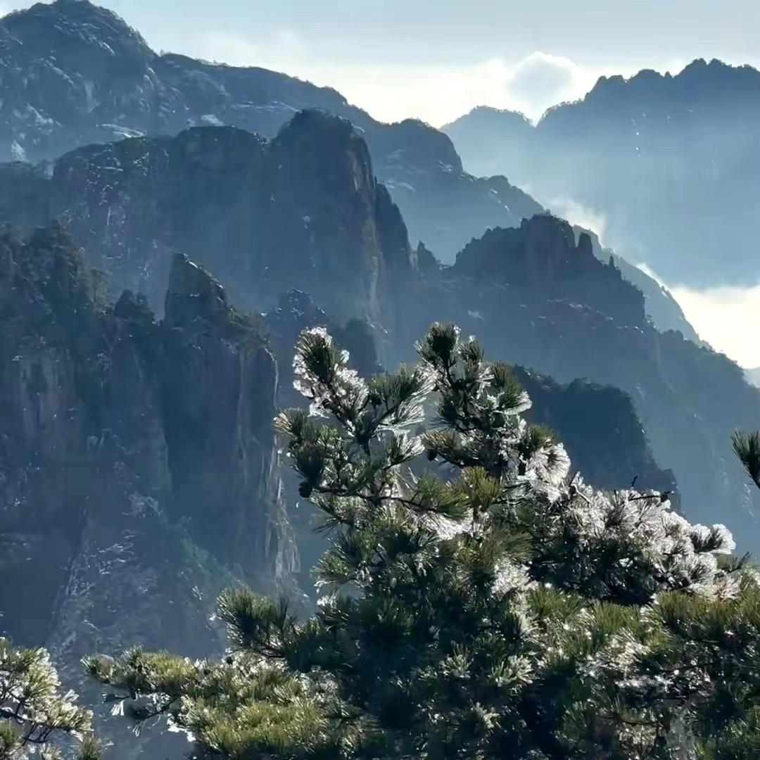 江岸