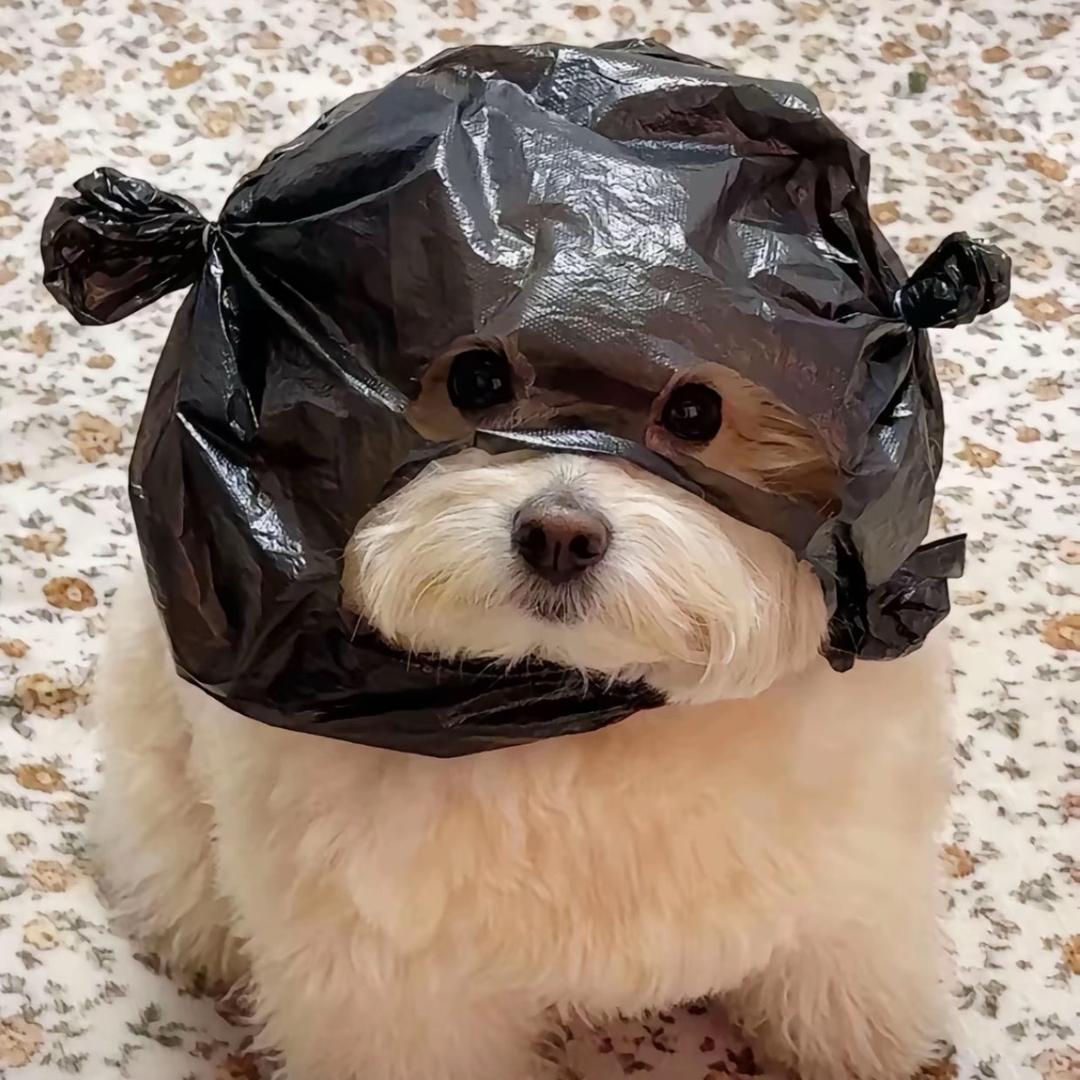 你的世界没有我