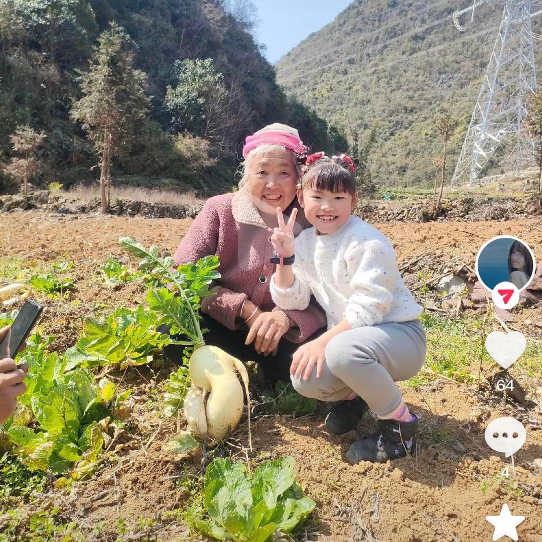随缘点赞