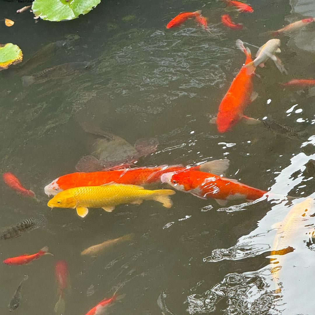 健康快乐就好《谢谢大家关注，拒私聊》