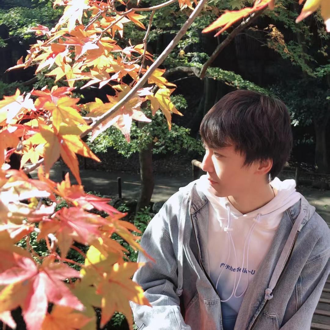 小龙欧