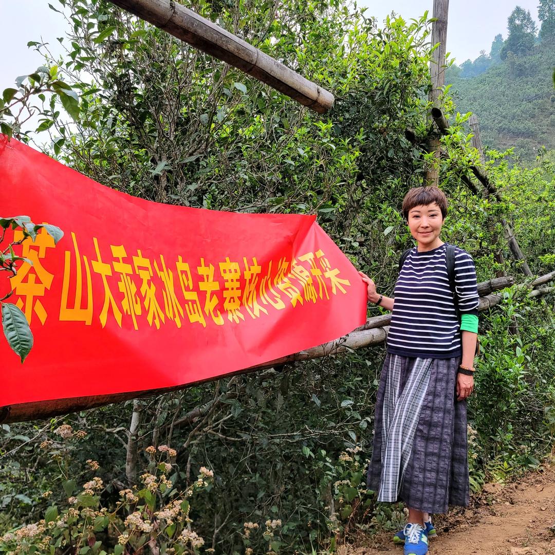 茶山大乖家铁粉号