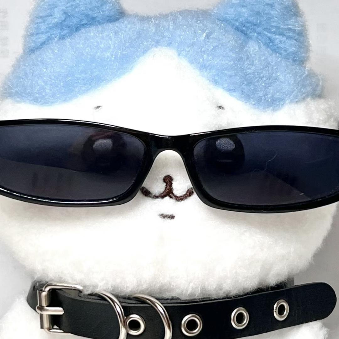 小盒崽儿