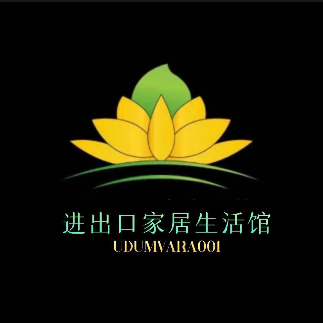 朋导带印尼家具软装