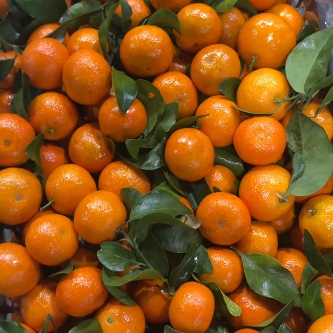 广西水果产地直发