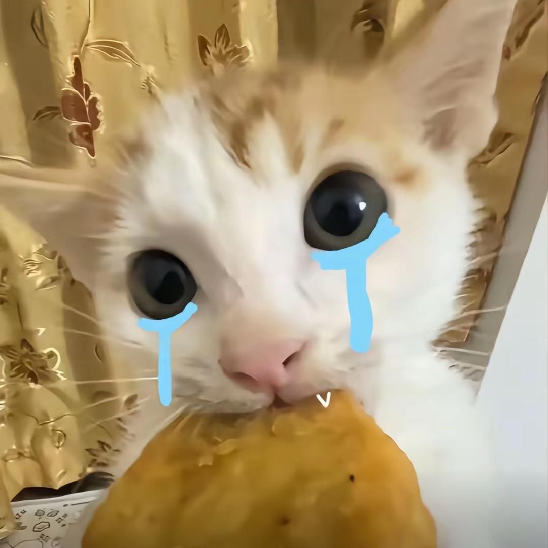 布丁✨（开学不活）