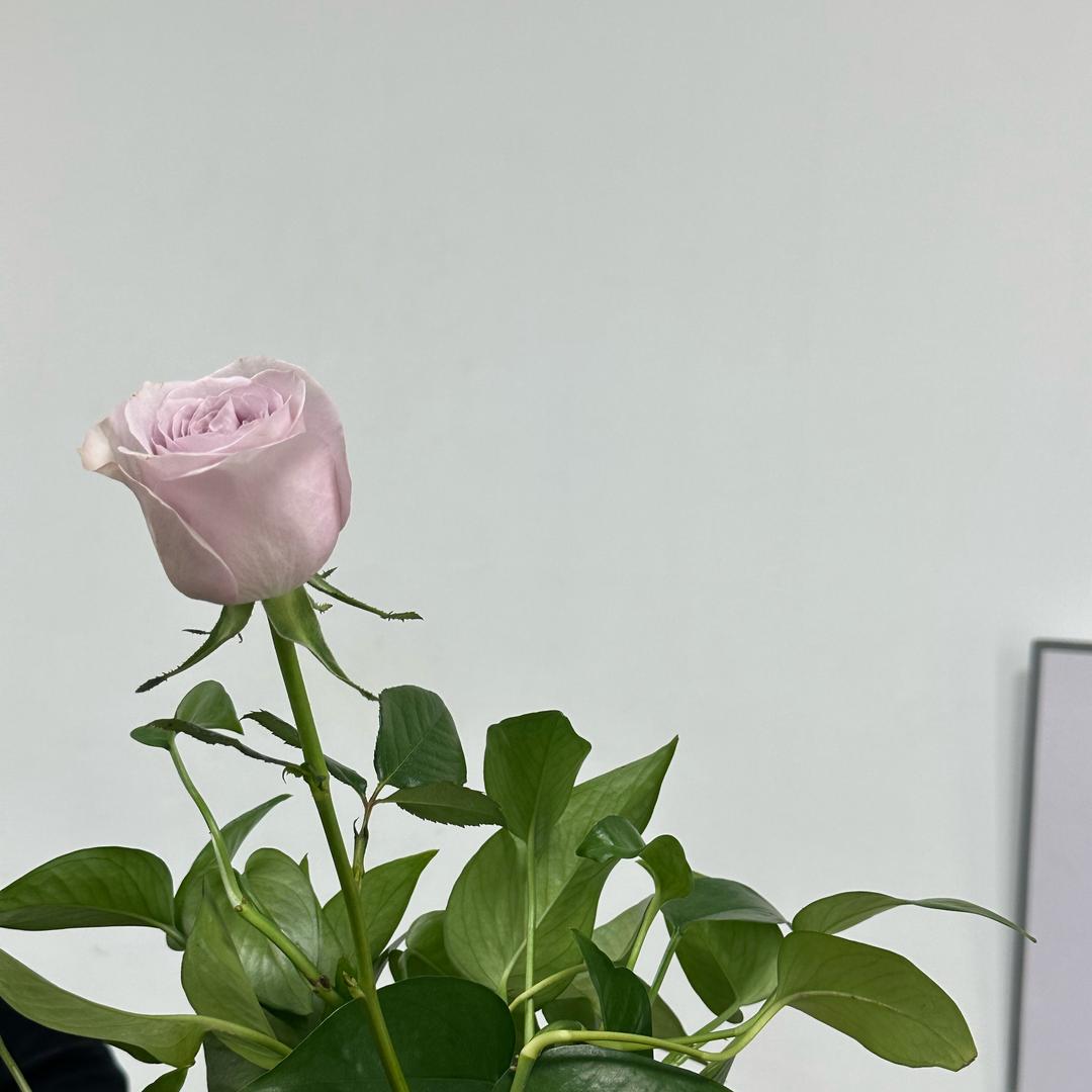 卡得不要不要哒