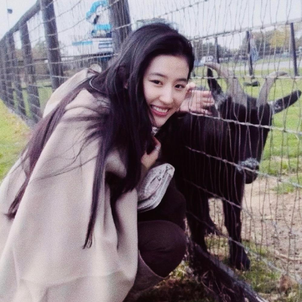 yuyue