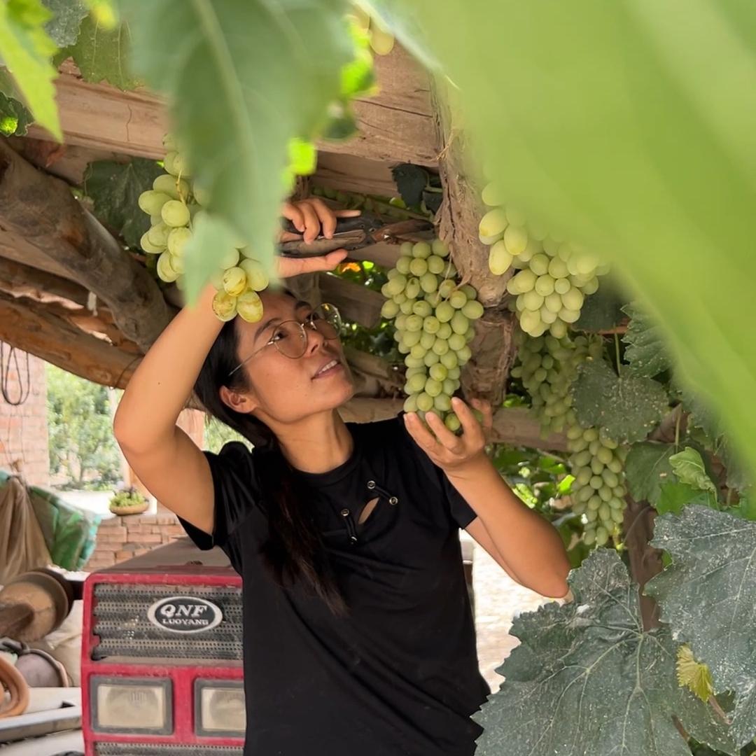 远嫁新疆的小余