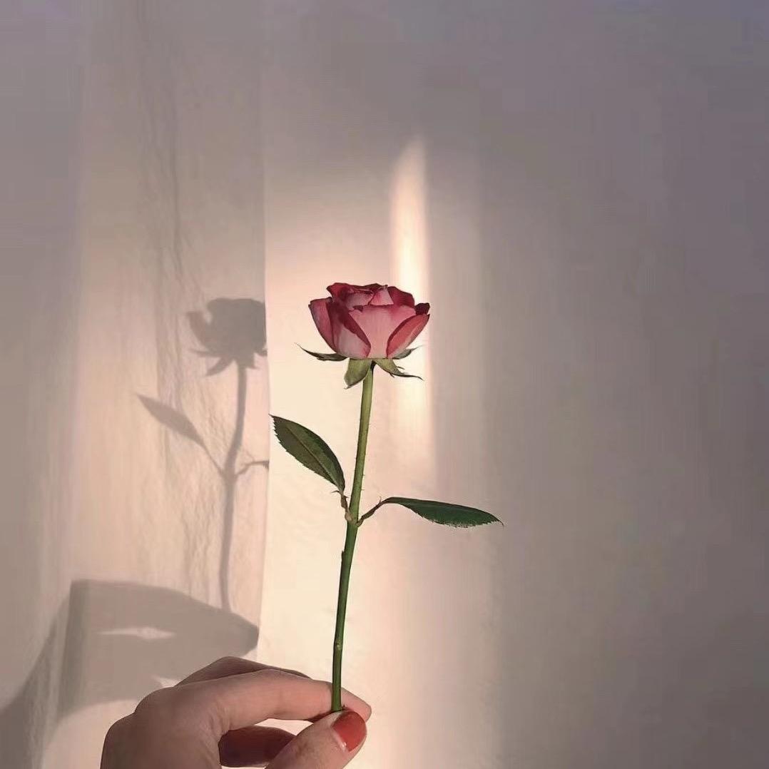 断舍离
