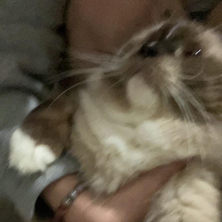 粥粥.