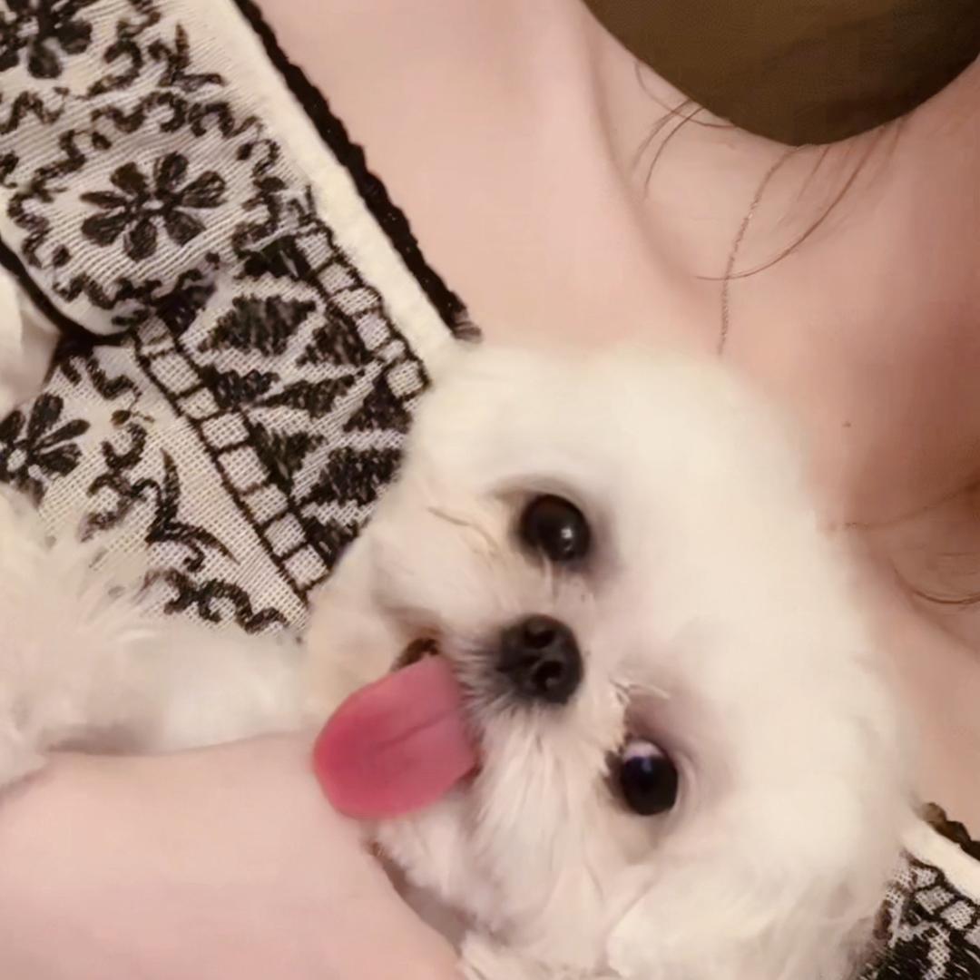 饱饱