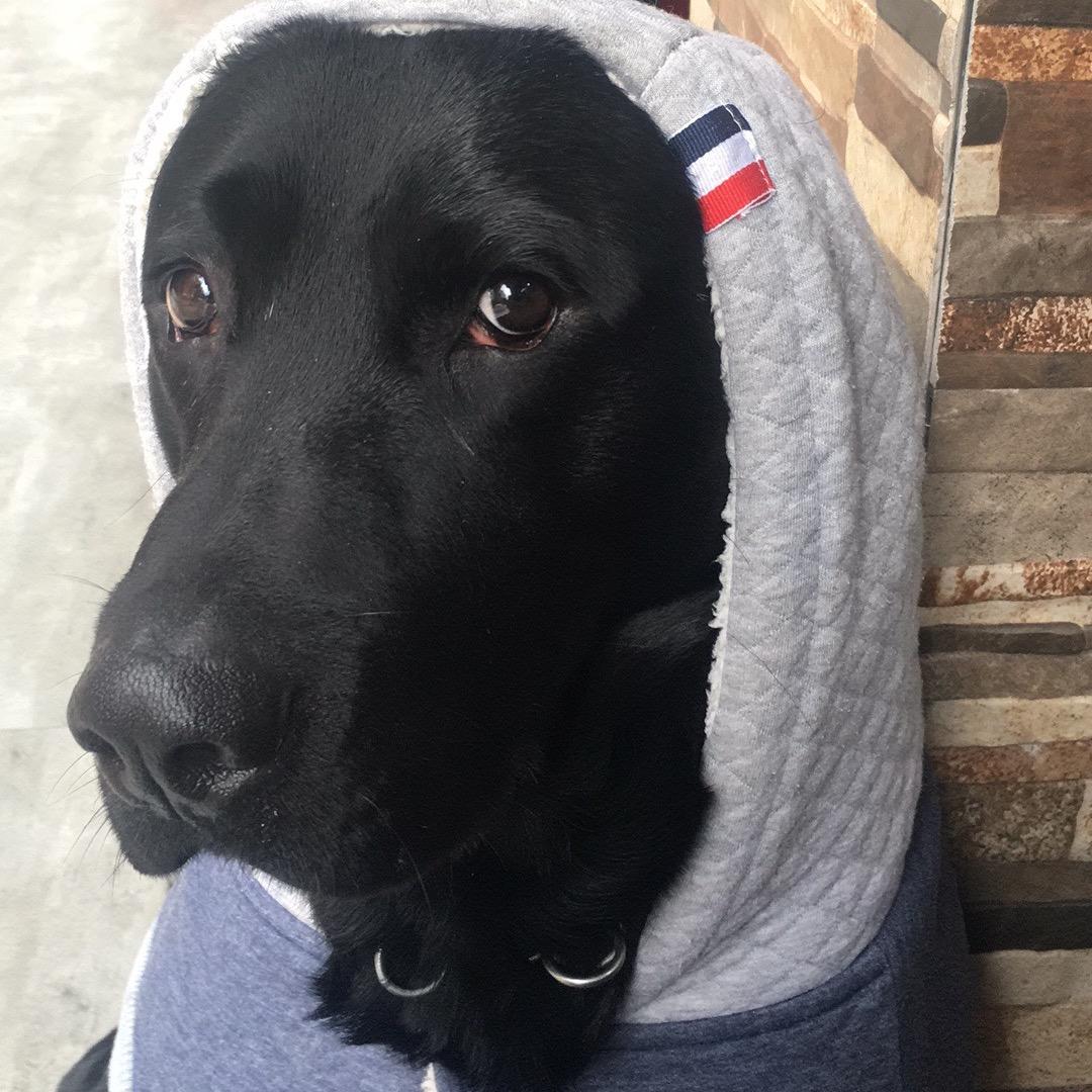 🐱宠物平价超市🐶25周年