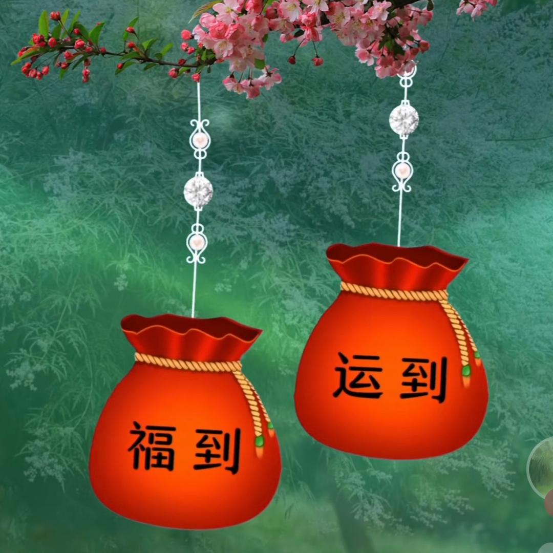 美姐