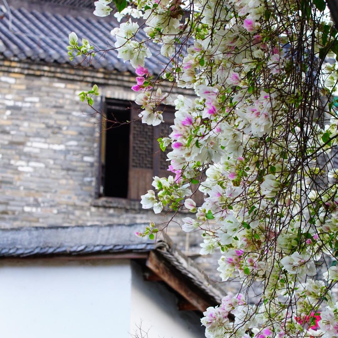 深圳附一今喜养发馆