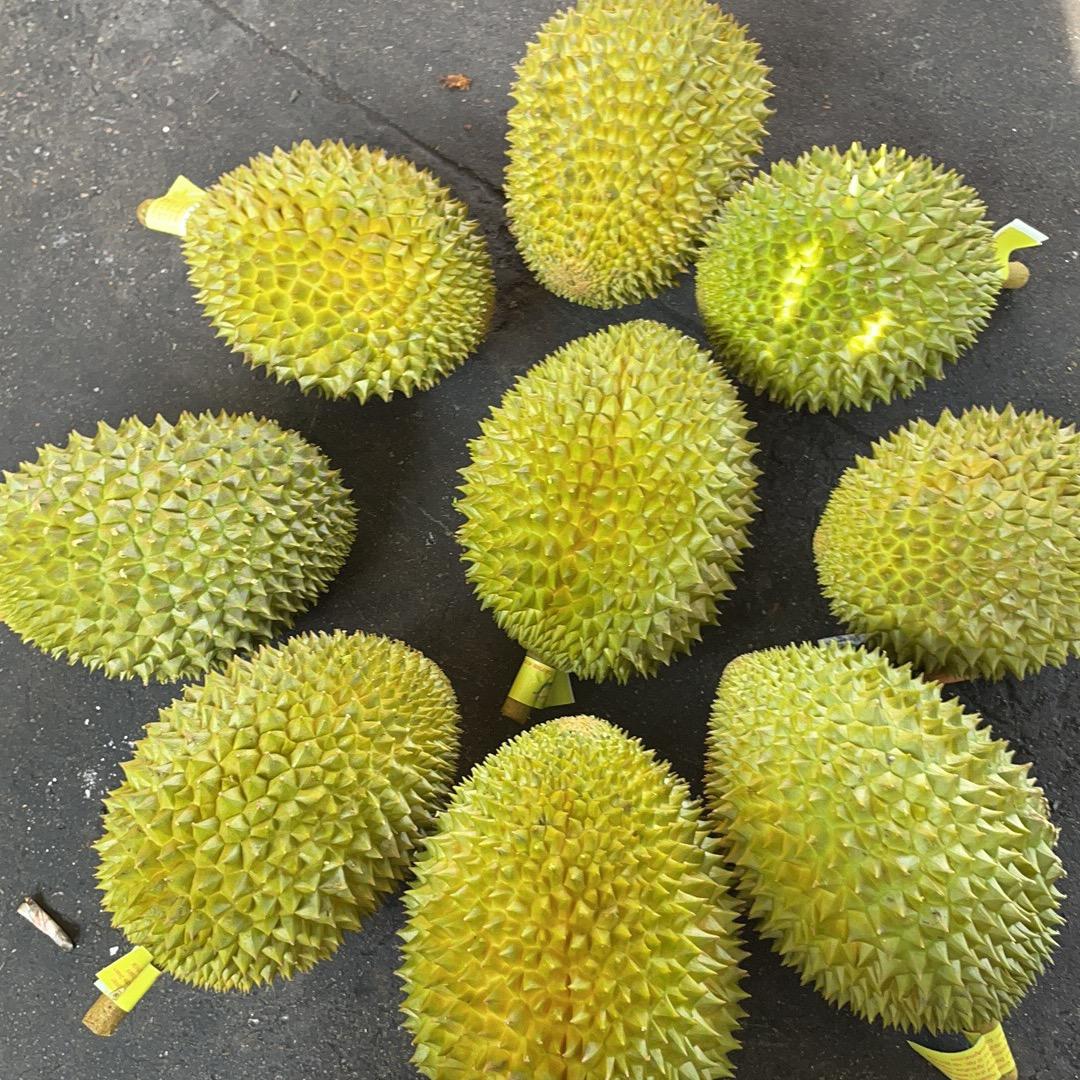 泰国金枕榴莲批发（浩哥）