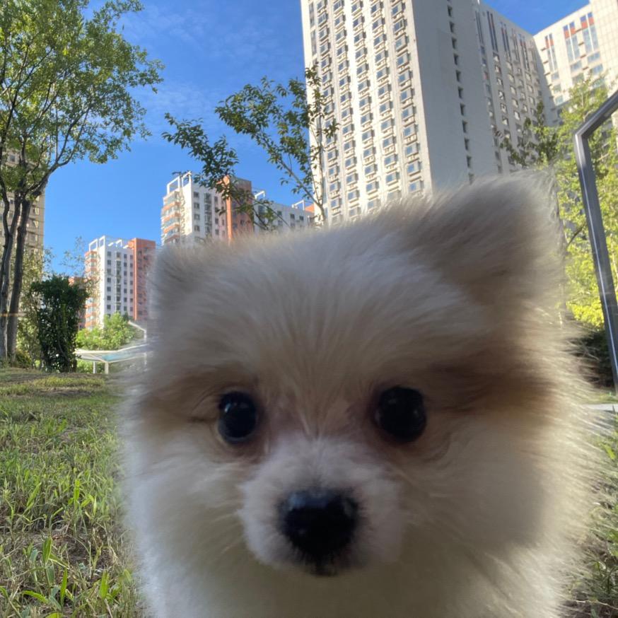 🌈狗子小宝🌈