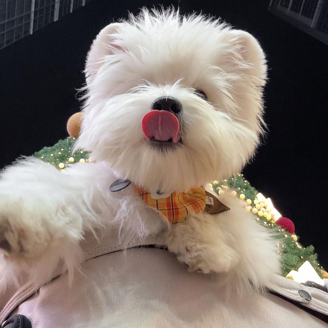 蜡笔小舒 🖍️