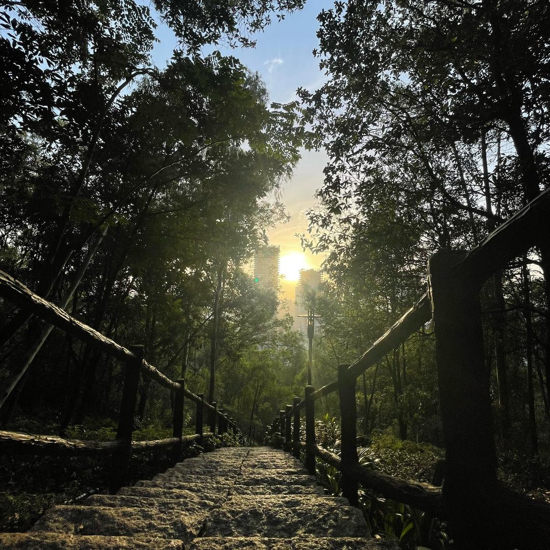 @小谢🍃
