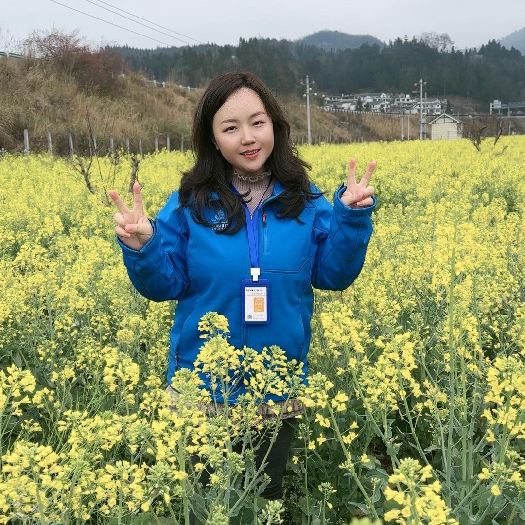 真心咨询策划服务