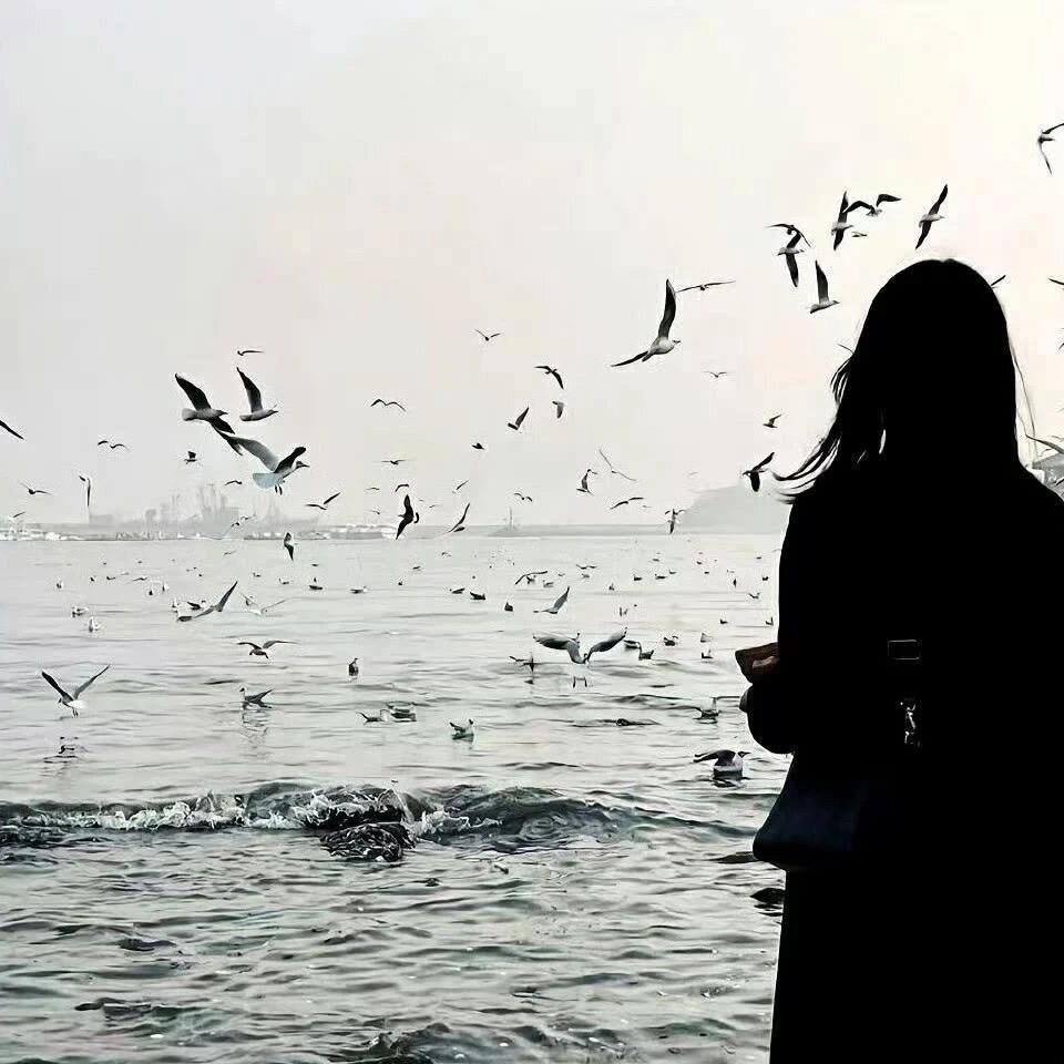 小张不吃香菜。