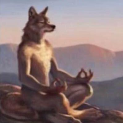 优秀大公狼（五匹）