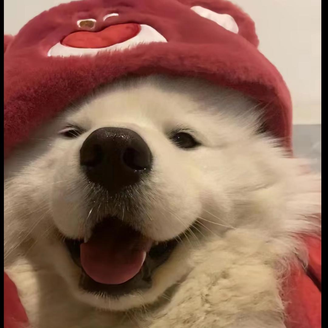 赖床大大王🐾🐼