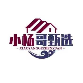 小杨哥甄选