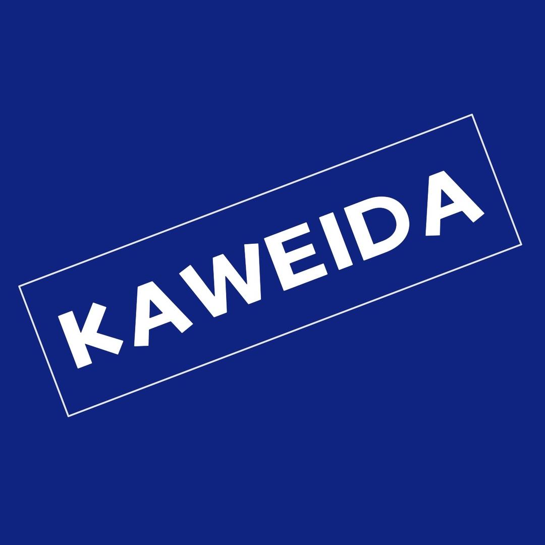 卡维妲KAWEIDA时尚太阳镜
