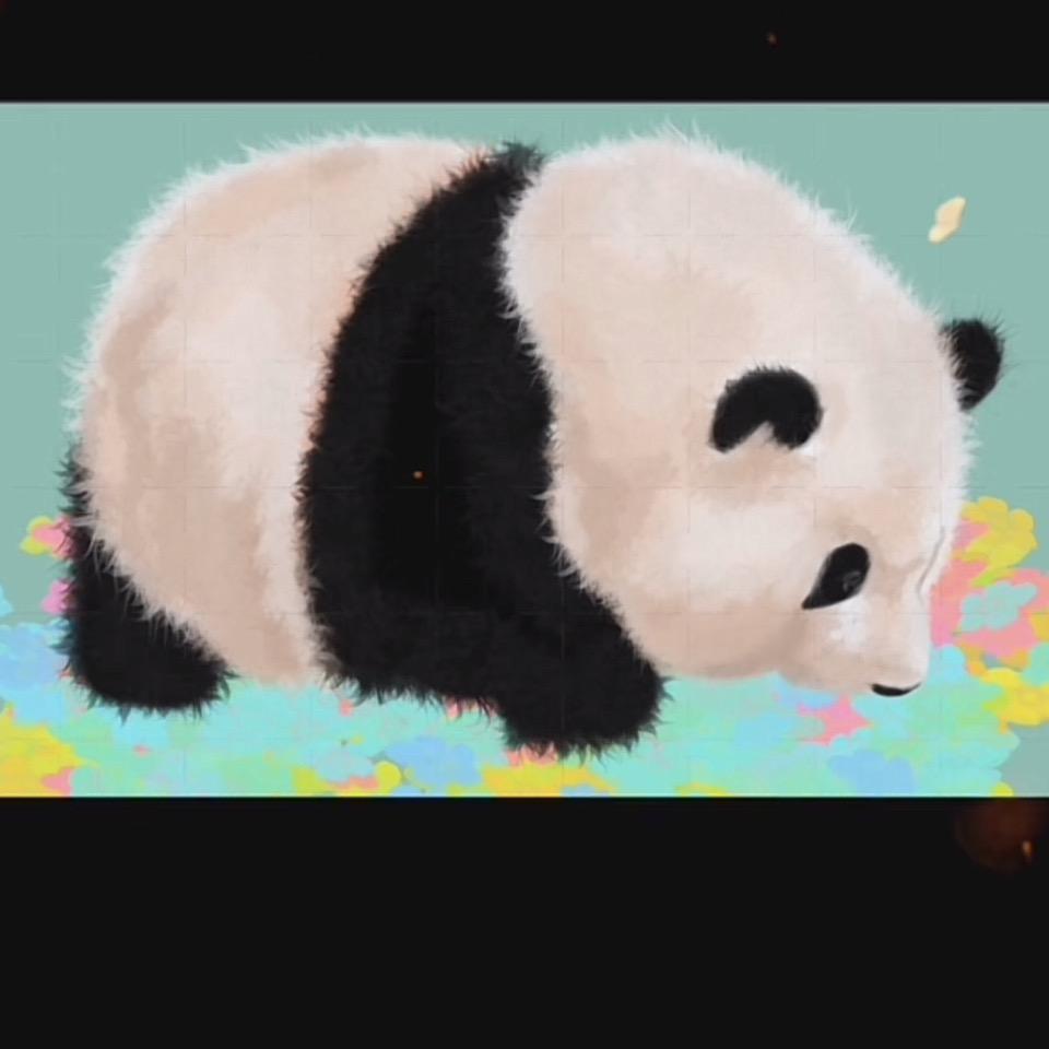 可可西里的波斯蓝猫头像