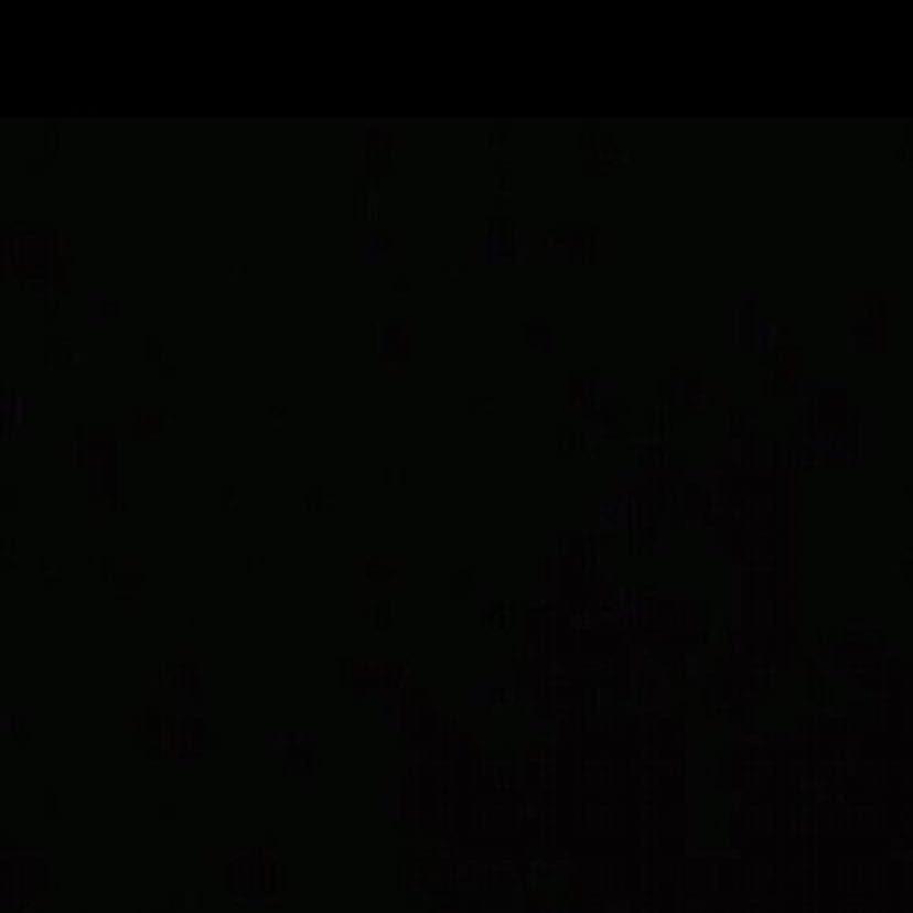 去海洋馆吗.