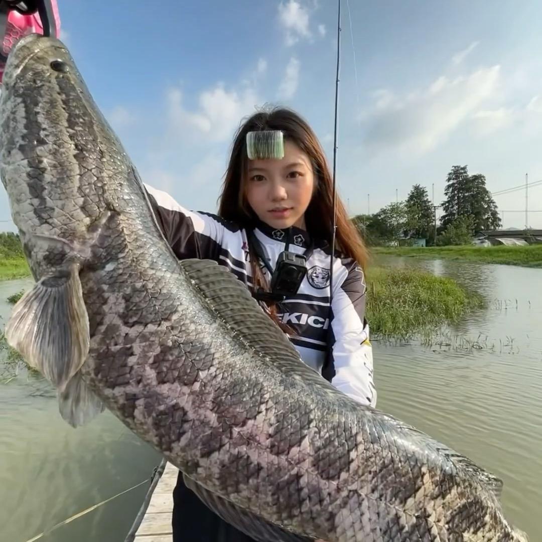 鱼福淡水养殖批发总部