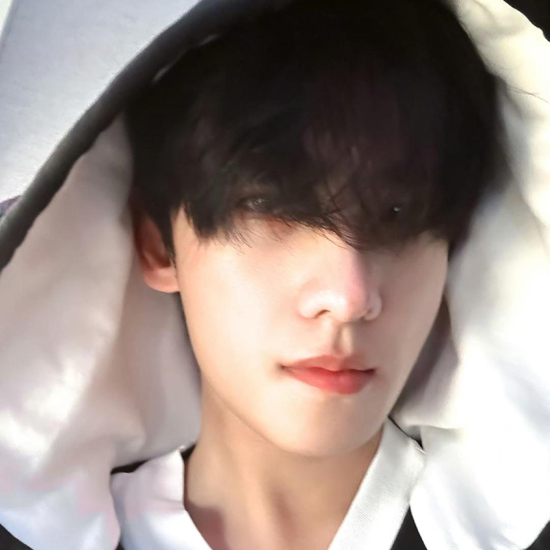 都是杨洋yangyang