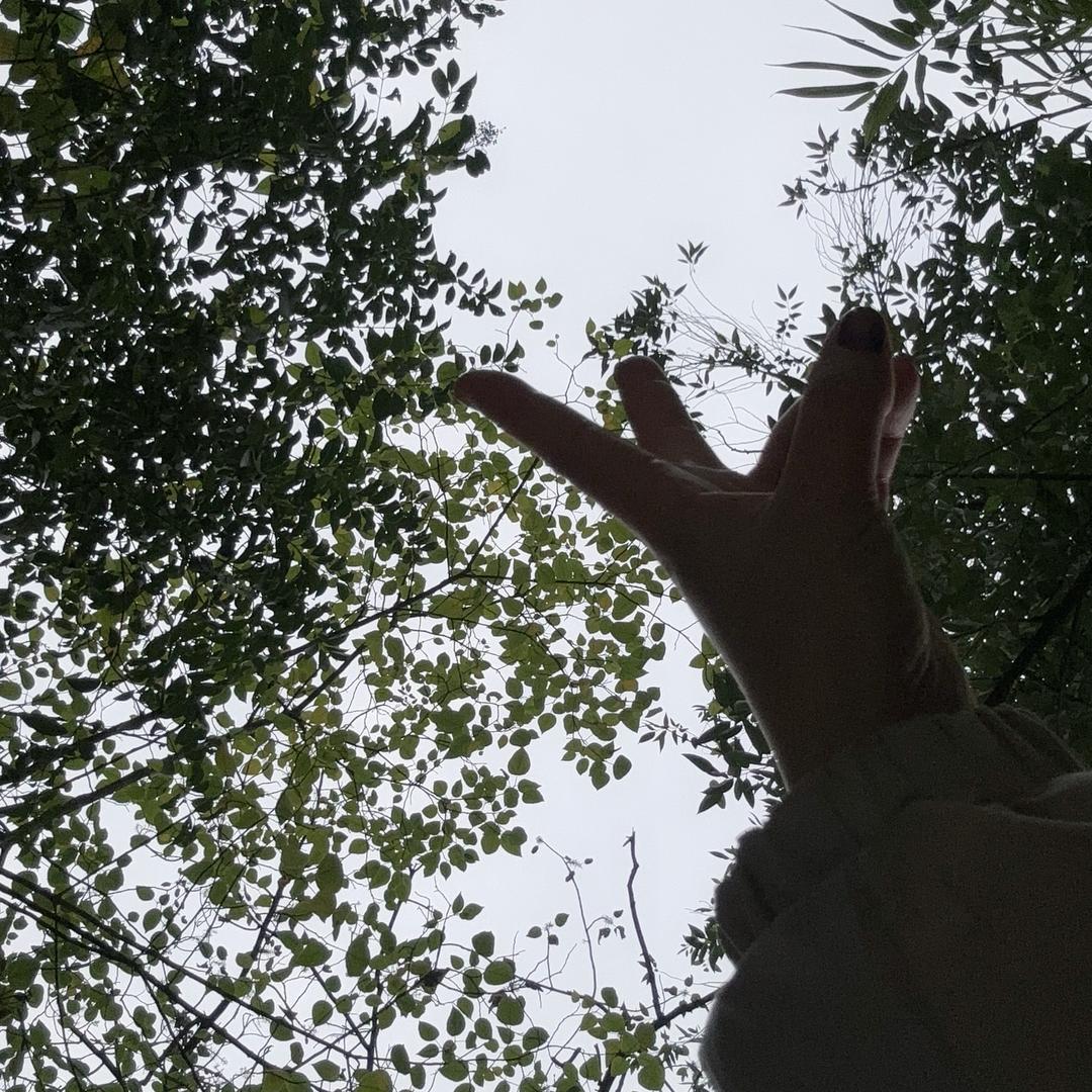 Ji‿ingᥫᩣ ʚ🐰ིྀɞ