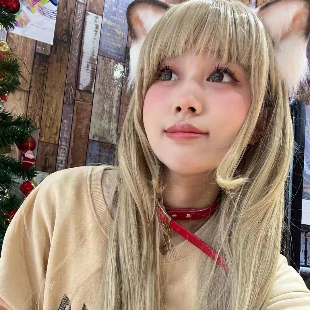 狸狸哩