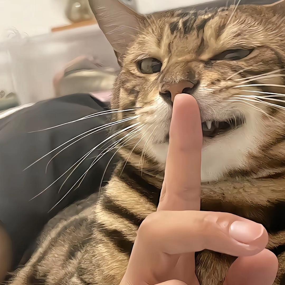 小昊要开心