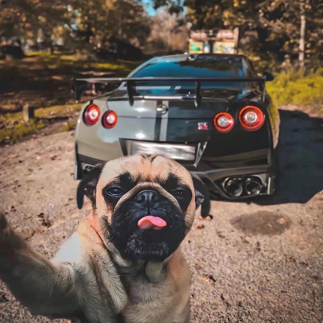 🧗🏾 ㍿