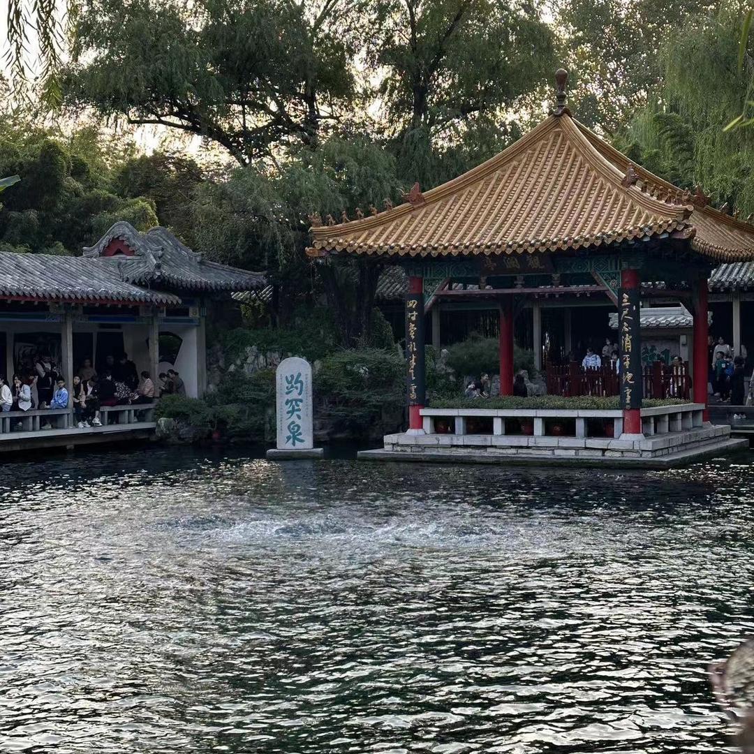山东满仓电梯