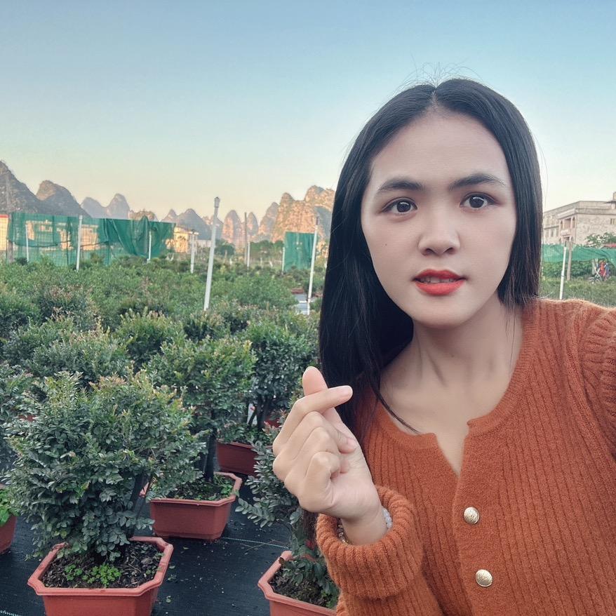 谢小妹盆景园艺