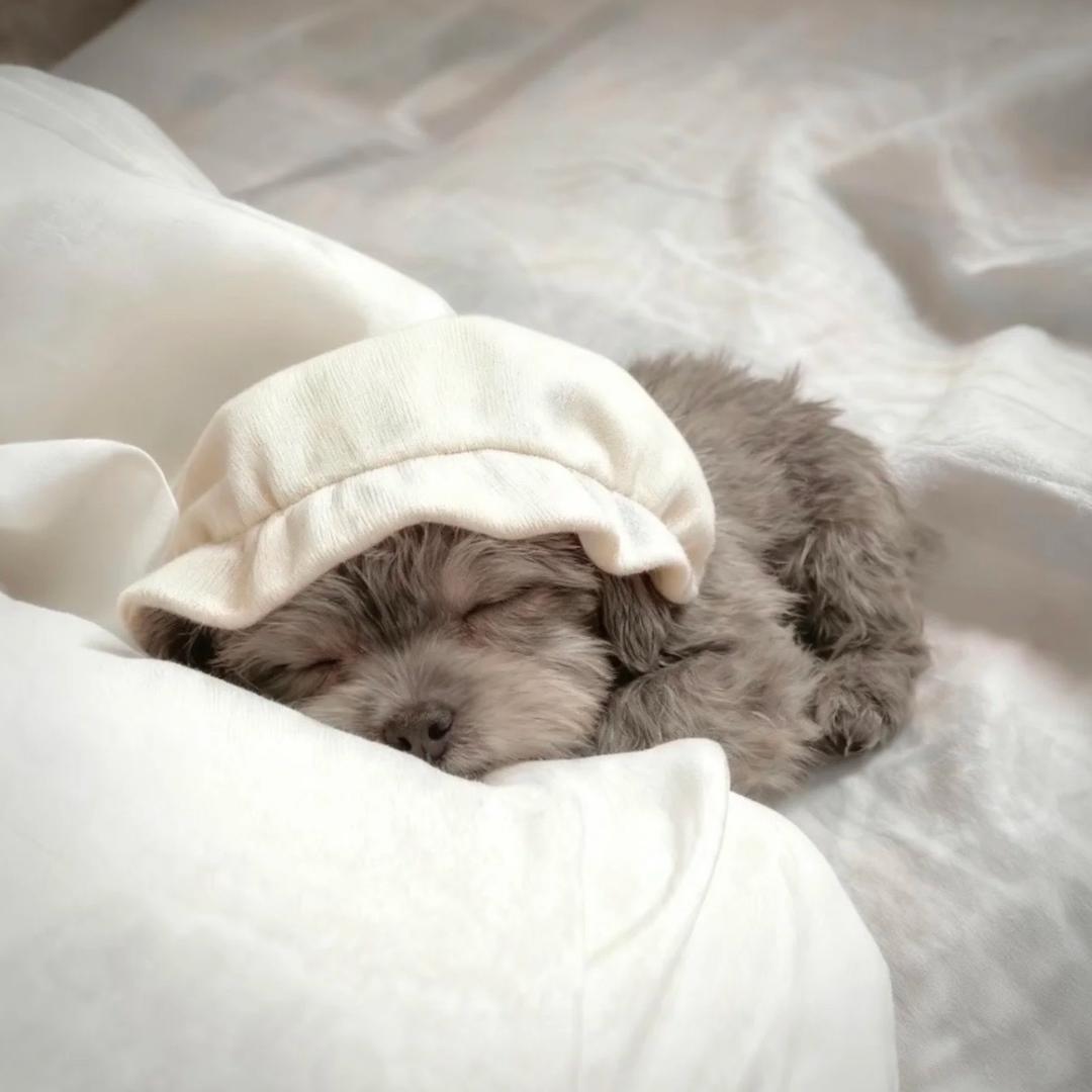 𝟱𝘂𝗼𝗶𝗶𝗼