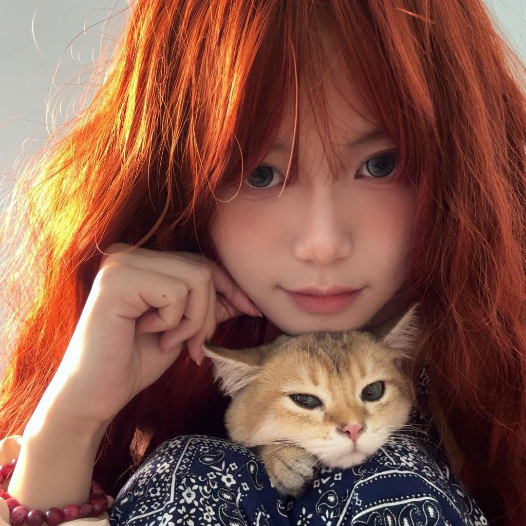 小猫鲨手