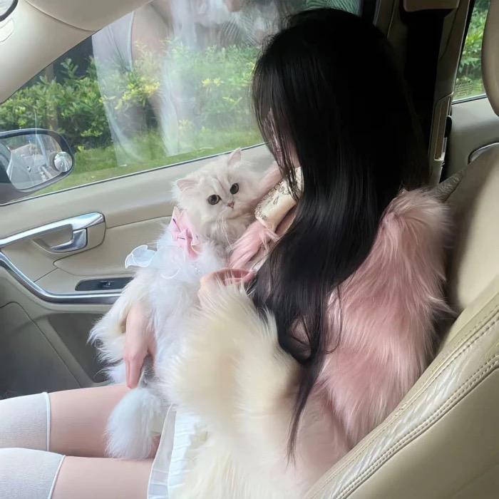 小雨