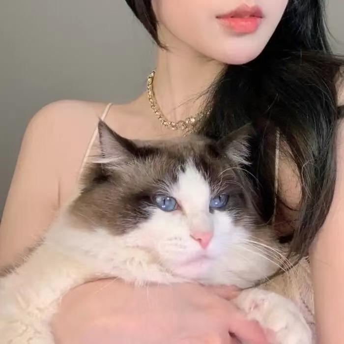 楠楠不爱吃香菜